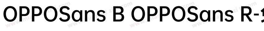 OPPOSans B OPPOSans R字体转换